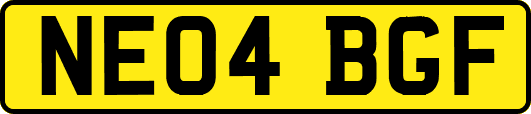 NE04BGF
