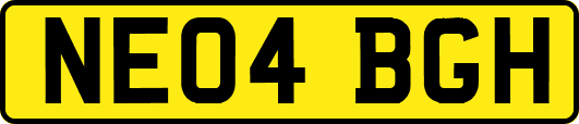 NE04BGH