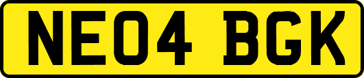 NE04BGK