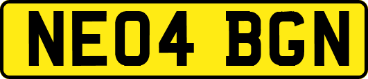 NE04BGN