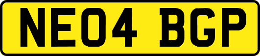 NE04BGP
