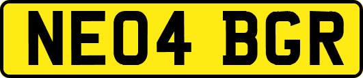 NE04BGR