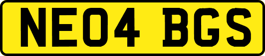 NE04BGS