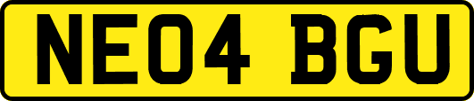 NE04BGU