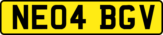 NE04BGV