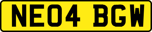 NE04BGW