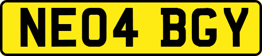 NE04BGY