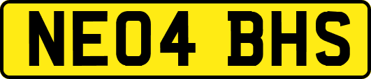 NE04BHS