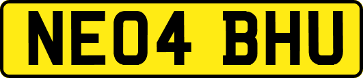 NE04BHU
