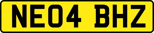 NE04BHZ