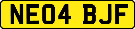NE04BJF