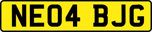 NE04BJG