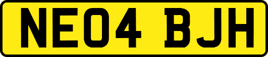 NE04BJH