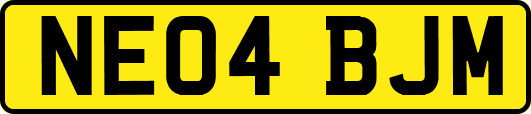 NE04BJM