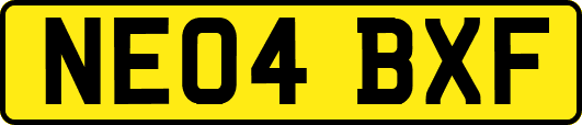 NE04BXF