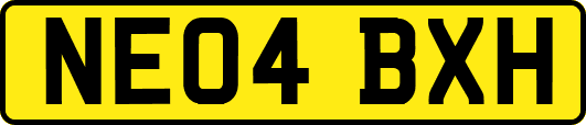 NE04BXH