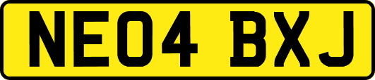 NE04BXJ