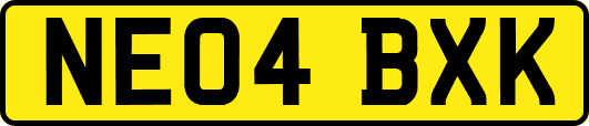 NE04BXK