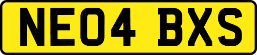 NE04BXS