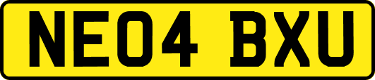 NE04BXU
