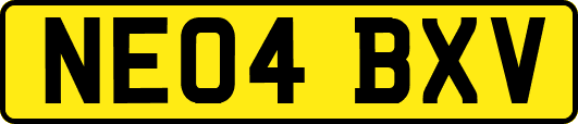 NE04BXV