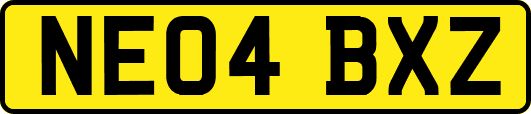 NE04BXZ