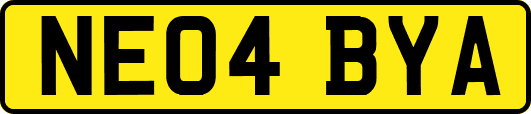 NE04BYA