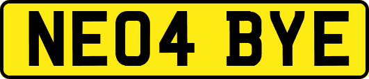 NE04BYE