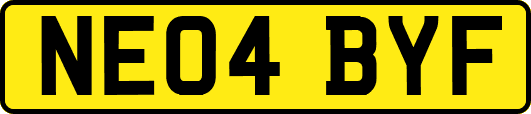 NE04BYF