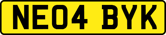 NE04BYK