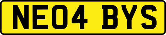 NE04BYS