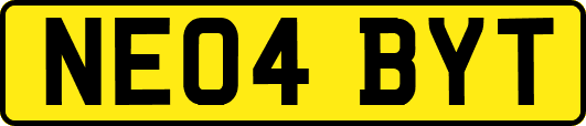 NE04BYT