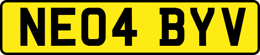 NE04BYV