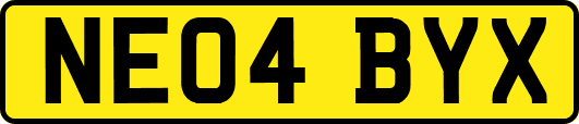NE04BYX