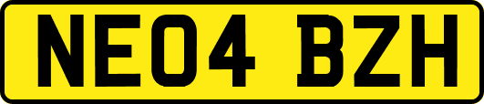 NE04BZH