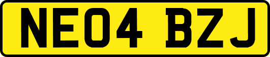 NE04BZJ
