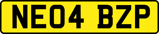 NE04BZP
