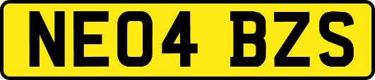 NE04BZS