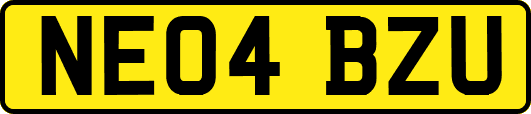 NE04BZU
