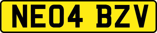 NE04BZV
