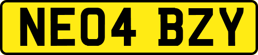 NE04BZY