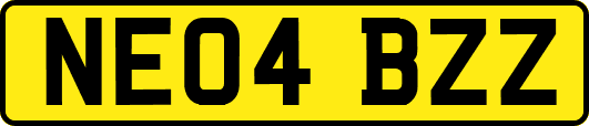 NE04BZZ