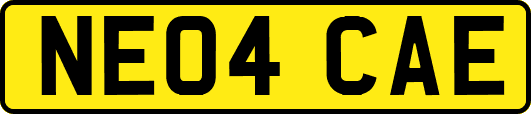 NE04CAE