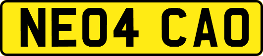 NE04CAO
