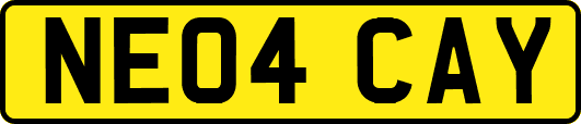 NE04CAY