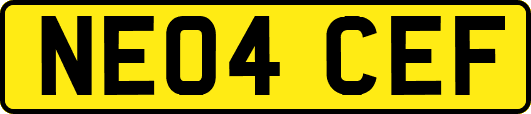 NE04CEF