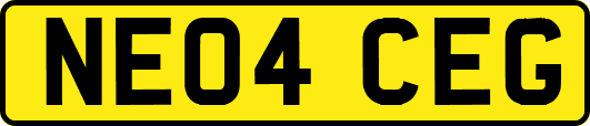 NE04CEG