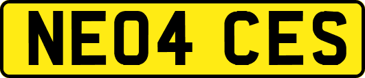 NE04CES