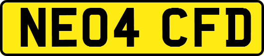 NE04CFD