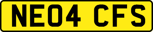NE04CFS